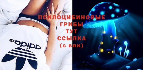 молекула духа Арсеньев