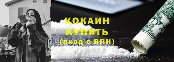 молекула духа Арсеньев