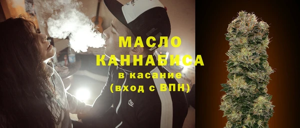 молекула духа Арсеньев