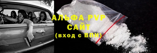 молекула духа Арсеньев