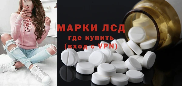 молекула духа Арсеньев