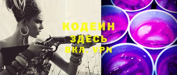 молекула духа Арсеньев