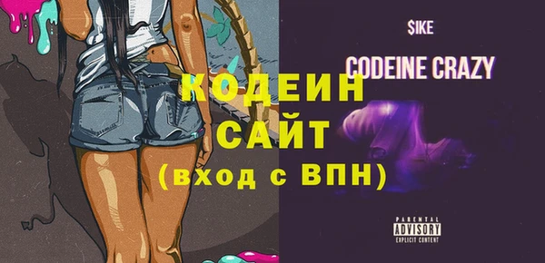 молекула духа Арсеньев