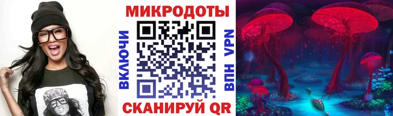 Галлюциногенные грибы Psilocybine cubensis  Когалым 